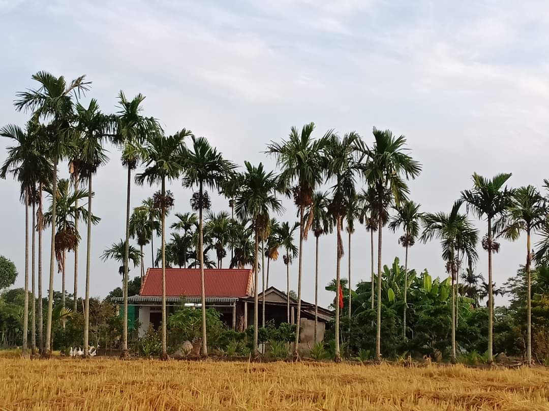 L&agrave;ng qu&ecirc; thanh b&igrave;nh. Ảnh: N.N.H