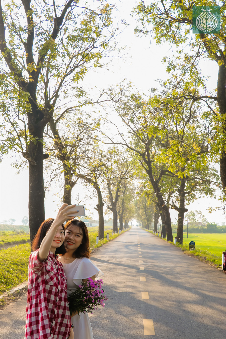 H&agrave;ng c&acirc;y x&agrave; cừ thay l&aacute; ở l&agrave;ng Đại An Kh&ecirc; trở th&agrave;nh g&oacute;c &ldquo;sống ảo&rdquo;  tuyệt vời của giới trẻ - Ảnh Thi&ecirc;n Sơn