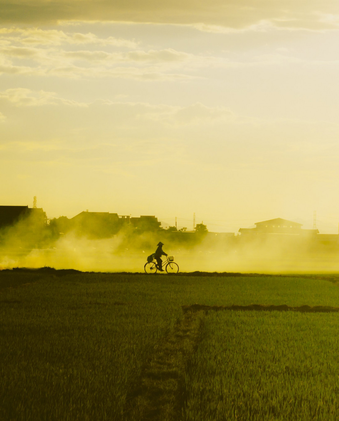 Ảnh: C&aacute;p Lộc H&agrave;n Vũ