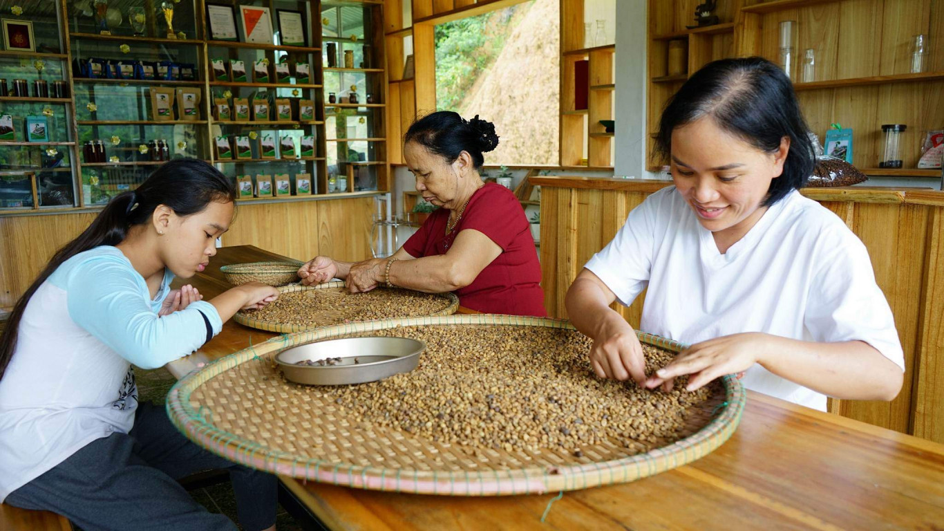 Chế biến c&agrave; ph&ecirc; ở xưởng Pun coffee - Ảnh: T.H